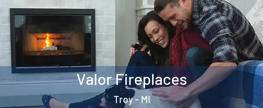  Valor Fireplaces Troy - MI