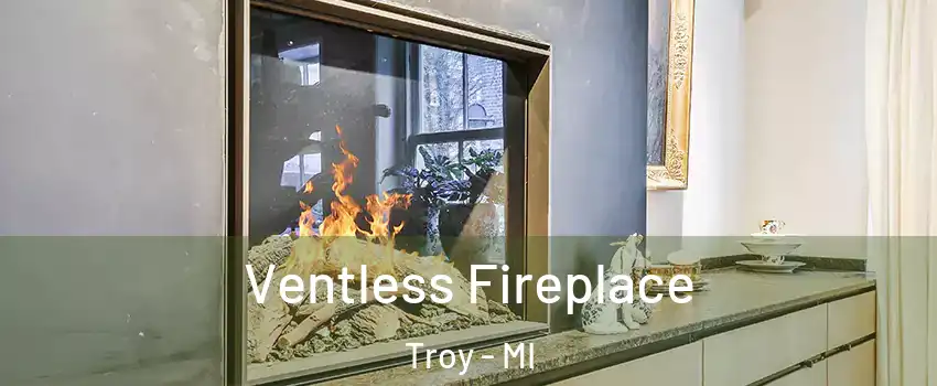  Ventless Fireplace Troy - MI