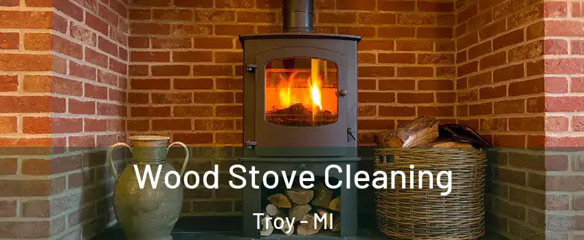  Wood Stove Cleaning Troy - MI